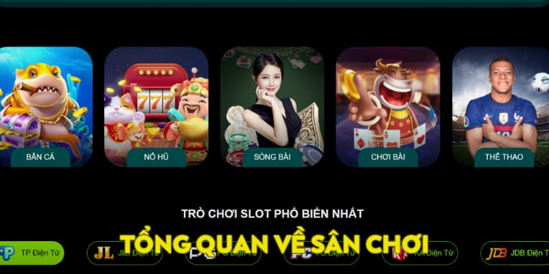Tổng qua về sân chơi