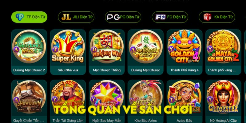 Tổng quan về sân chơi